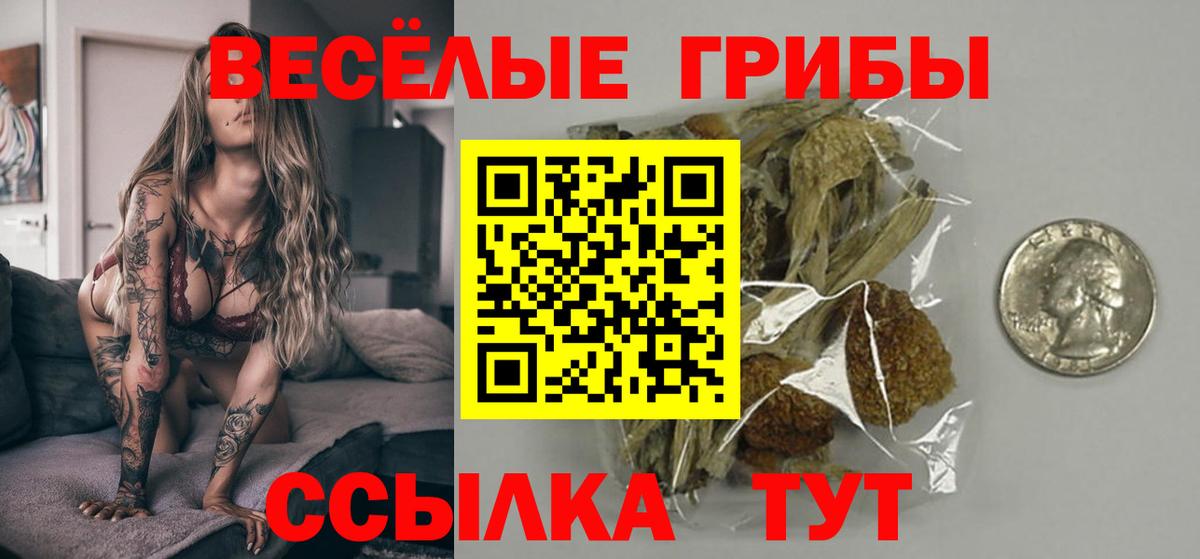 купить наркоту  Псилоцибиновые грибы прущие грибы  Вход с VPN  Донецк 